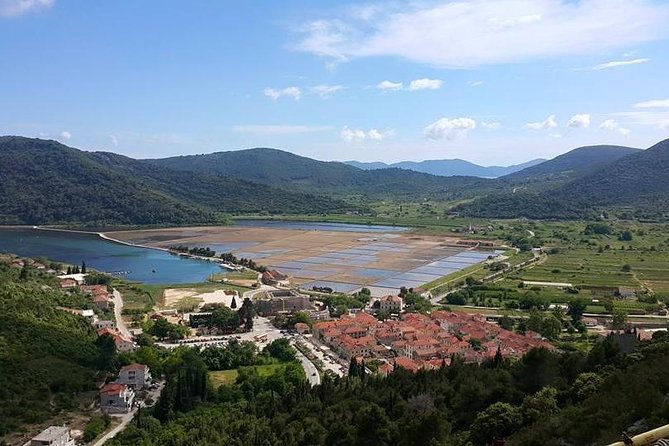 Dubrovnik & Peljesac (Ston & winery) 7-8h PRIVATE SHORE TOUR - Pelješac Winery in Ponikve: Wine, Liqueur, Olive Oil, and Nibbles