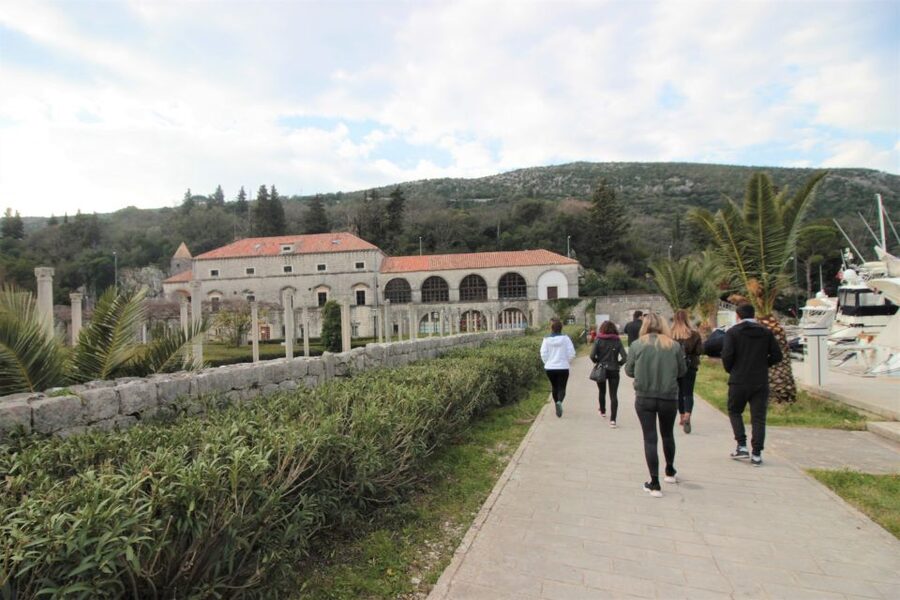 Dubrovnik: Private Cooking Experience with Wine Tasting - Who Should Book This Private Dubrovnik Cooking + Wine Day?