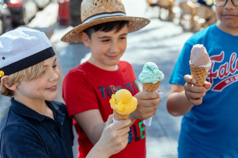 Dubrovnik: Private Family Friendly City Tour with Guide - Key highlights worth planning for