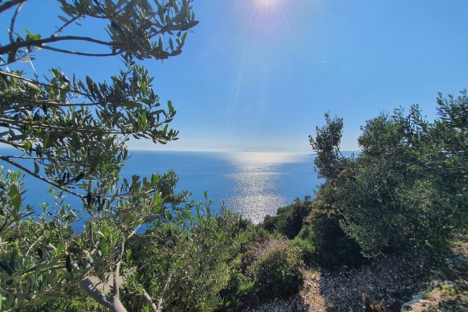 Dubrovnik Private Wine Tasting Tour to Peljesac Peninsula - Timing, the 8–9 hour day, and how the rhythm feels