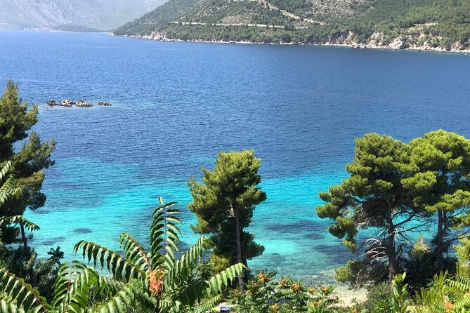 Dubrovnik Private Wine Tasting Tour to Peljesac Peninsula - From Dubrovnik to Pelješac in one smooth private day
