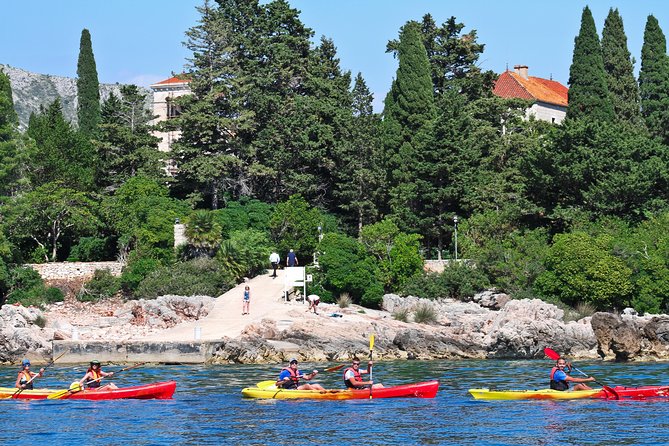 Dubrovnik: Sea Kayaking & Snorkeling Tour - Price and value: is $36.28 fair for this?