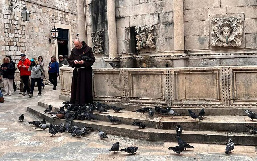 Dubrovnik: Small-Group Guided Old Town History Walking Tour - The first stretch: Pile Gate to Stradun and the Stradun rhythm