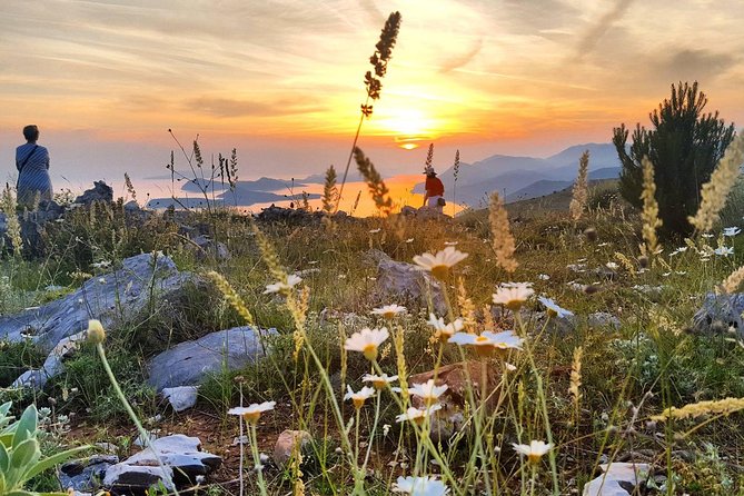Dubrovnik Sunset Tour with Wine Tasting - From Pile Gate to Mt. Srd: how the tour moves fast