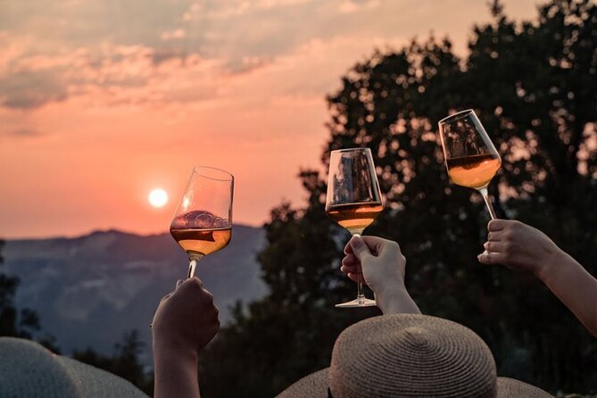 Dubrovnik Walk & Wine: Old Town Walking tour with a Glass of Wine - Key highlights you will actually feel during the walk