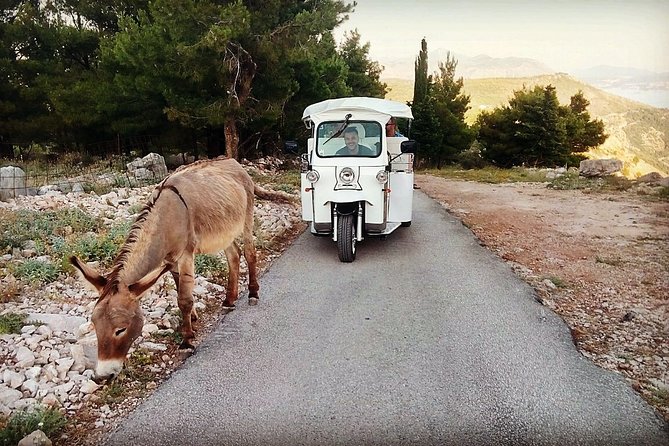 E-Tuk Tuk Tour in Dubrovnik - Hotel pickup and getting started without stress