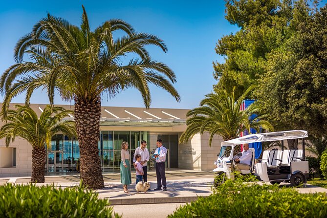 E-Tuk Tuk Tour in Dubrovnik - Comfort, weather reality, and who this tour suits best