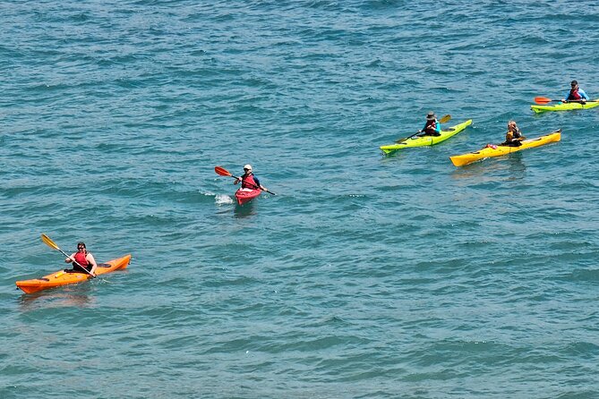Elafiti Islands Sea kayaking: Full-Day Bike and Kayak tour on Lopud and Šipan - The Meeting Point and the Big Idea: Start on Lopud, Not in Dubrovnik