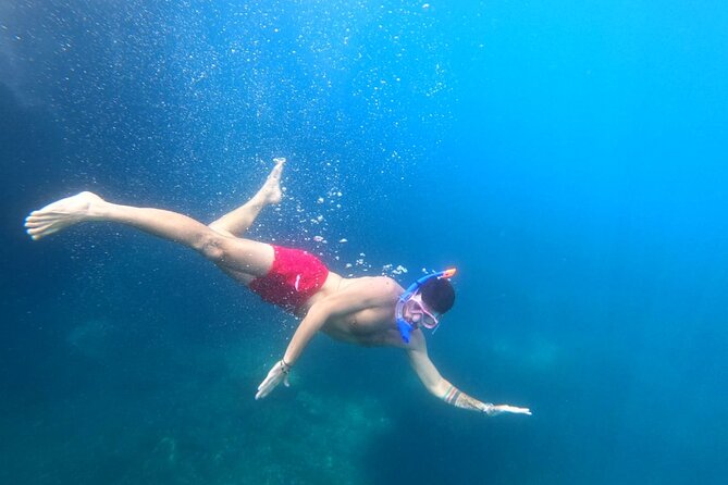 Exclusive private full day boat tour from Dubrovnik & Free drinks - Lopud Island for snorkel coves, seafood lunch, and botanical garden time