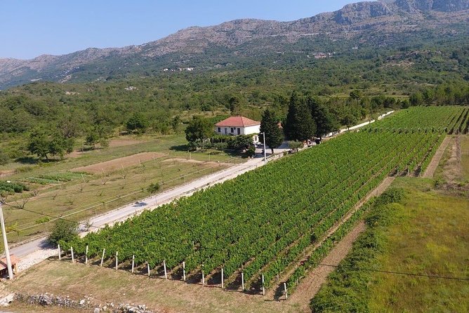 Flavours of Konavle: Wine, Food & Village Life Experience - Why Konavle Feels Like a Different Side of Dubrovnik