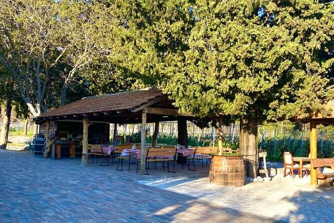 Flavours of Konavle: Wine, Food & Village Life Experience - Pickup, Private Tour Feel, and the Pace of a 5-Hour Day
