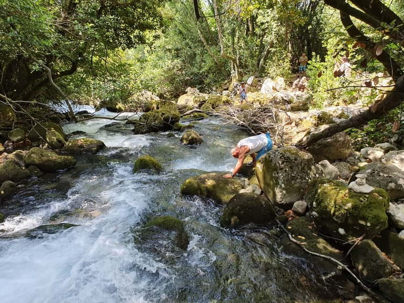 From Cavtat: Konavle Valley Off-Road Jeep Safari with Lunch - The off-road segments around Altishofen: where the day gets loud