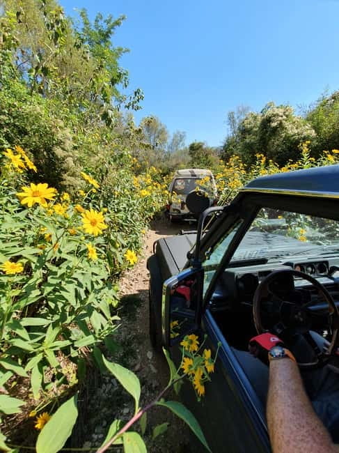 From Cavtat: Konavle Valley Off-Road Jeep Safari with Lunch - Lunch at the Monković restaurant: the part that makes the price feel fair