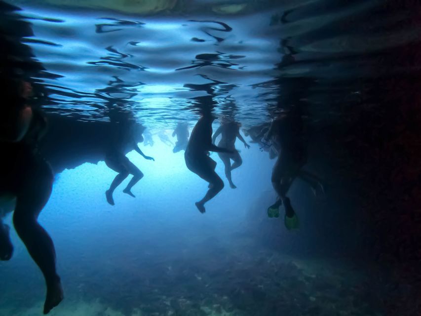From Dubrovnik/Cavtat: Blue Cave, Sunj Beach Speed Boat Tour - Key highlights that make this tour worth your half-day