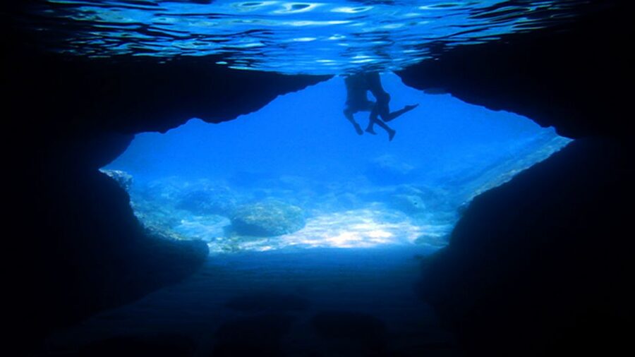 From Dubrovnik: Full-Day Private Boat Tour of Elafiti Island - Price and value: $470 per group up to 6