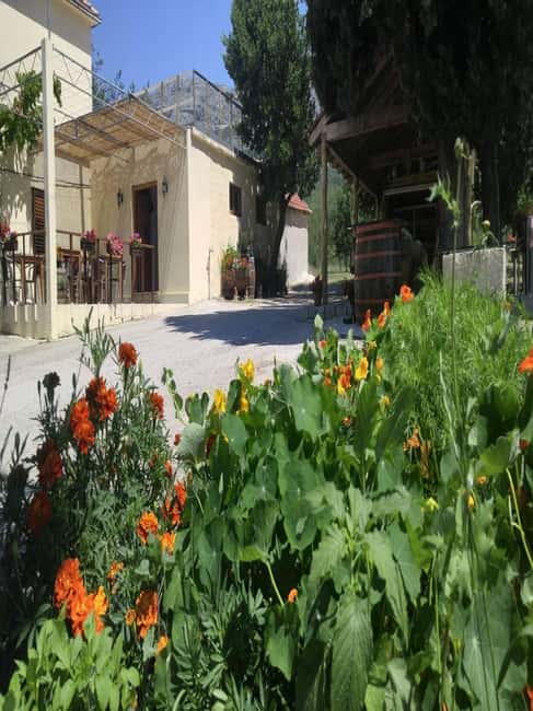 From Dubrovnik: Half-Day Wine Tasting and Cavtat City Tour - Getting out of Dubrovnik: the Konavle Valley drive that sets the tone
