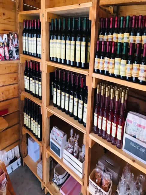 From Dubrovnik: Half-Day Wine Tasting and Cavtat City Tour - The pairing part: wines, cheeses, prosciutto, olives, and local liquors
