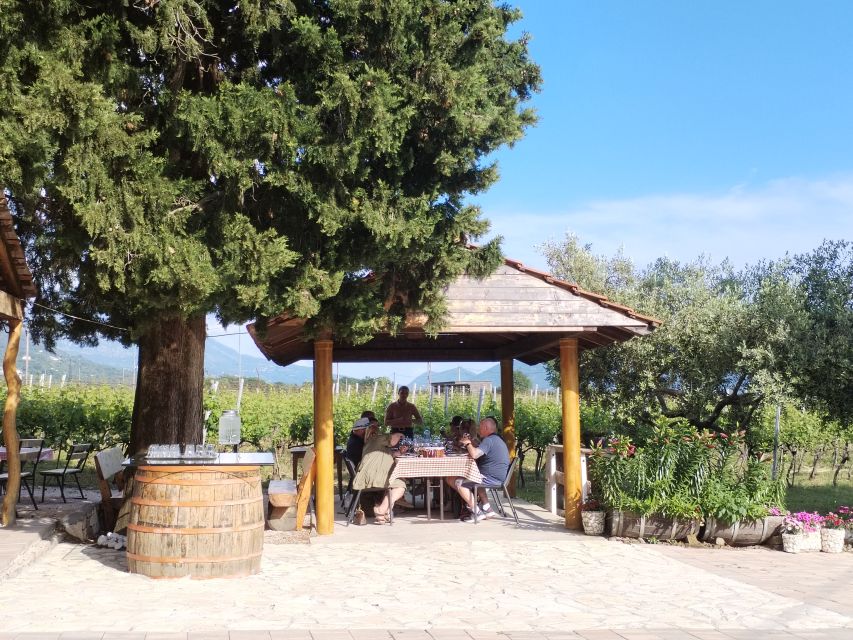 From Dubrovnik: Half-Day Wine Tasting and Cavtat City Tour - Cavtat in one hour: what you can realistically do by the harbor