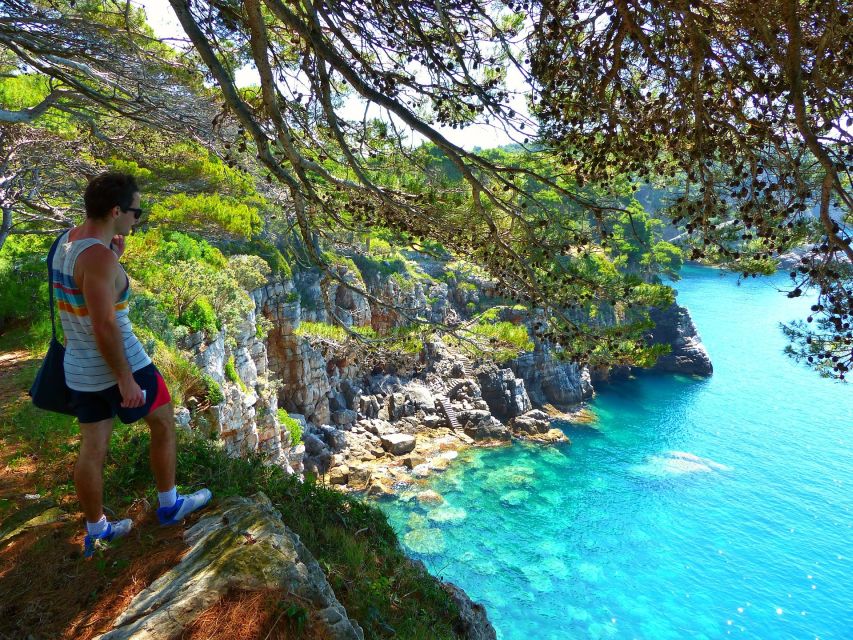 From Dubrovnik: Hiking & Swimming on Koločep Island Day Trip - Aromas, shade, and plant names you’ll actually remember