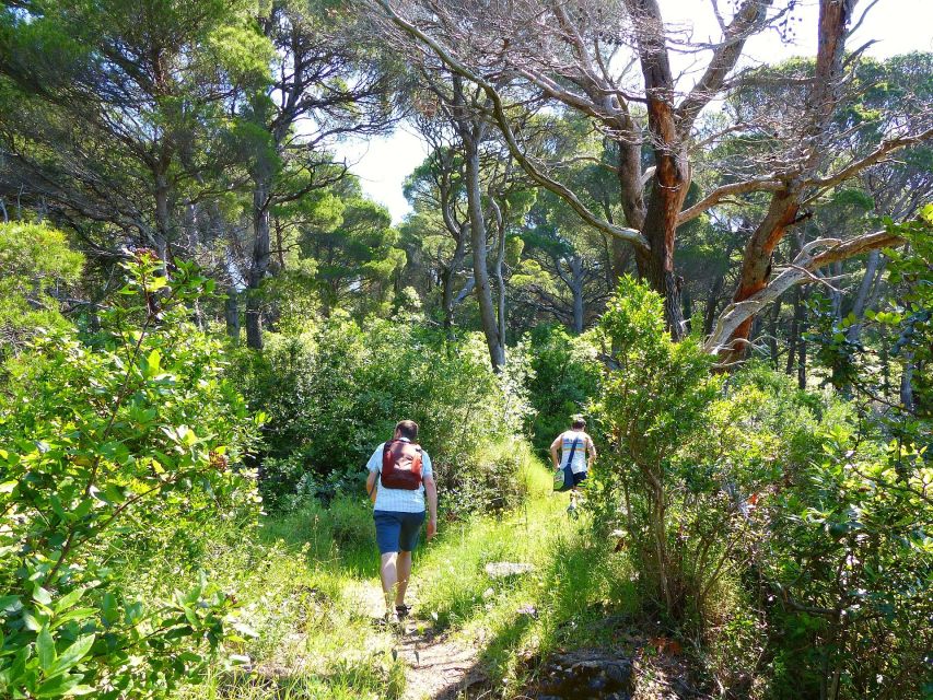 From Dubrovnik: Hiking & Swimming on Koločep Island Day Trip - Who should book this (and who should skip it)
