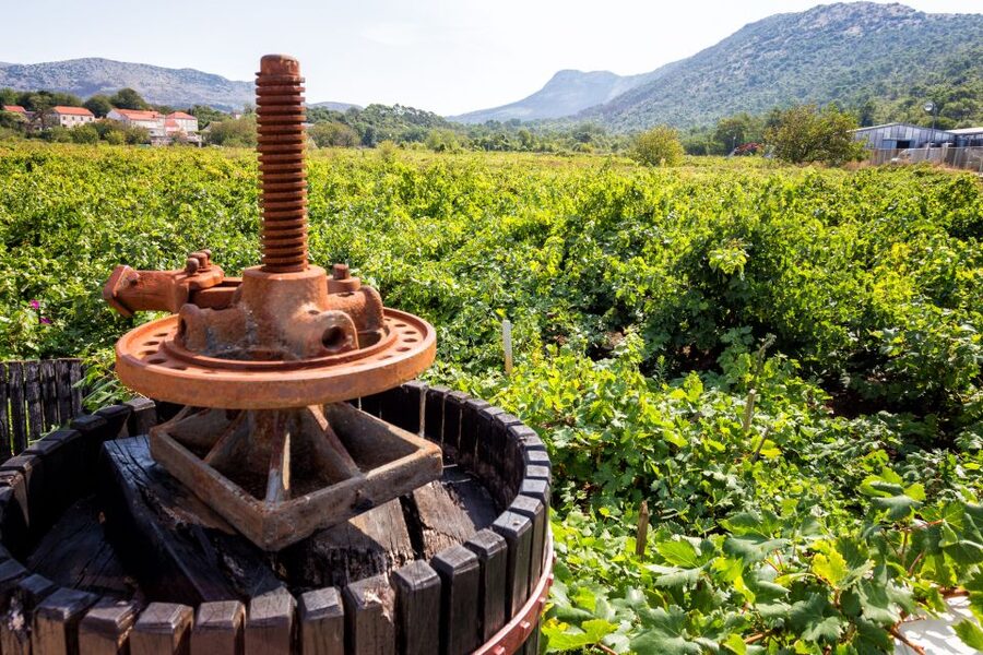 From Dubrovnik: Island of Korčula with wine tasting - Ston: a wall town and a salt story you can walk