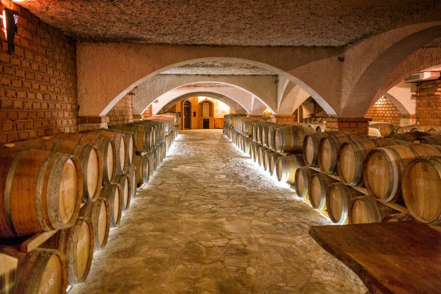 From Dubrovnik: Island of Korčula with wine tasting - Who this tour suits best (and who should skip it)