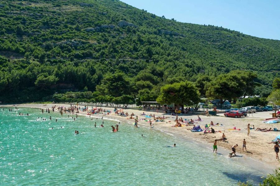 From Dubrovnik: Majkovi Village and Ston Private Food Tour - Who This Tour Fits Best