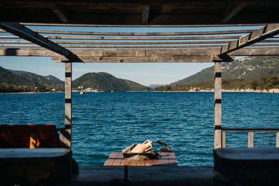 From Dubrovnik: Mali Ston Oyster Paradise Tour with Transfer - Dubrovnik to Ston: the transfer that sets expectations
