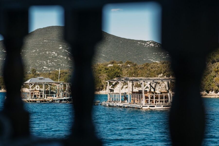 From Dubrovnik: Mali Ston Oyster Paradise Tour with Transfer - The day’s rhythm: how to make it feel effortless
