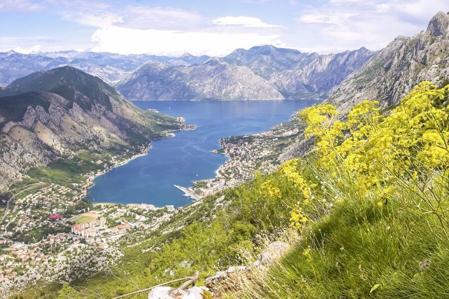 From Dubrovnik: Montenegro Day Trip - Practical tips so the day stays fun