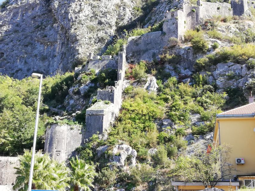 From Dubrovnik: Montenegro, Kotor City Tour - How the Day Flows: What You’re Really Paying For
