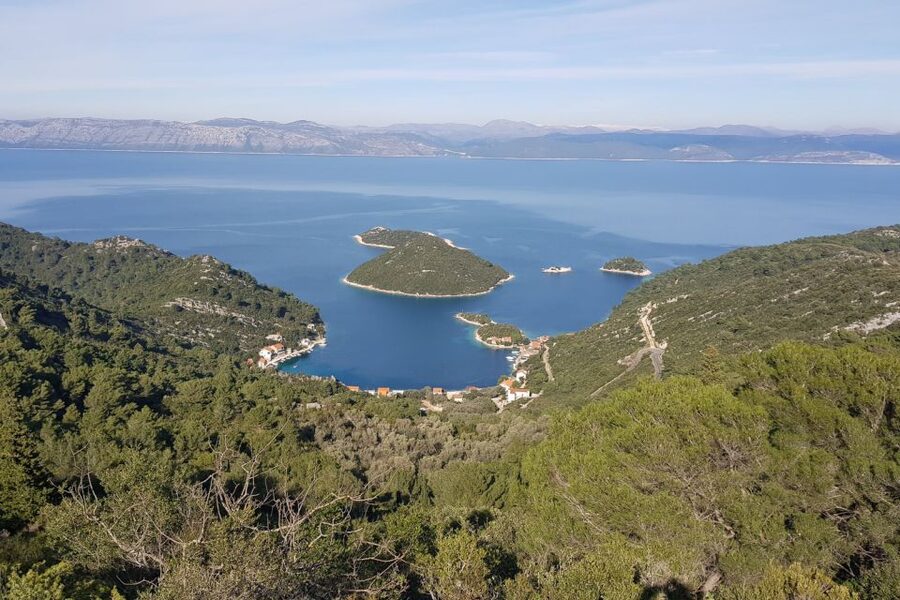 From Dubrovnik: Pvt Speedboat Cruise to Mljet&Sipanska Luka - Key Highlights You’ll Actually Care About
