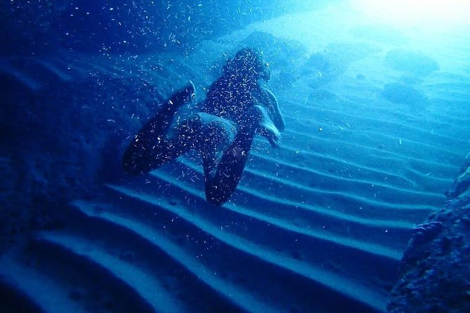 Guided Kayaking and Snorkeling Tour to Green Cave and Sipan Island from Lopud - Price and Time Value for a 5-Hour Water Day