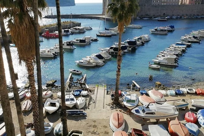 Guided Tour to discover Dubrovnik's Old Town, by day or night - Old Town monuments with context from the 7th century onward