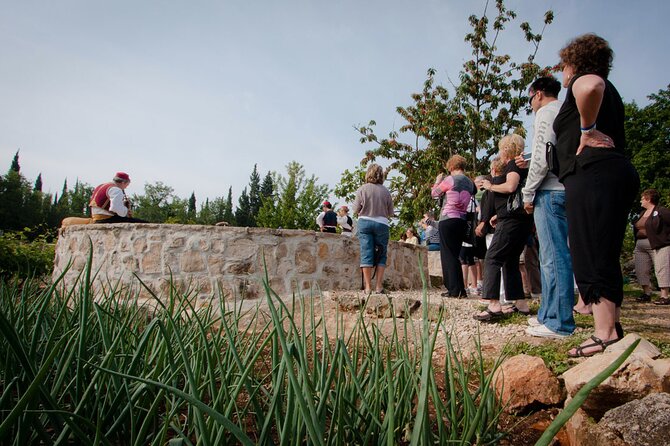 Half day Dubrovnik Countryside Gastro Experience - Konavle wine tasting: what you’re actually buying with your ticket