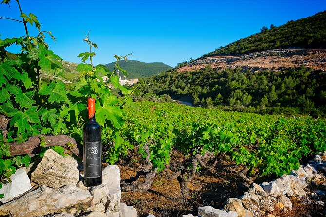 Half Day Tour - Deep and Dark Red Wine of Pelješac - Mali Ston: The Oyster Stop That Changes the Flavor of the Tour