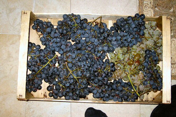 Half Day Tour - Deep and Dark Red Wine of Pelješac - How Good Is the Value for $177.52?