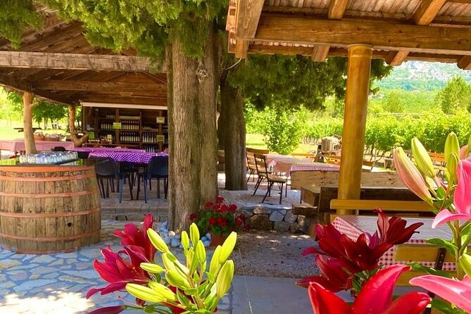 Half-Day Wine and Food Tasting from Dubrovnik - A half-day wine break that actually feels half-day