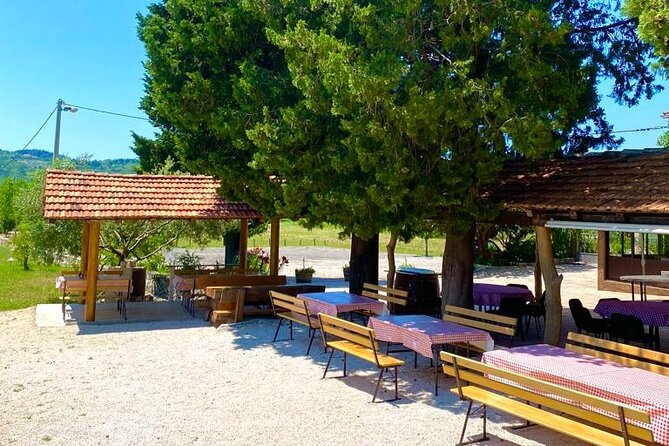 Half-Day Wine and Food Tasting from Dubrovnik - Stop-by-stop flow: Konavle winery area, then Cavtat