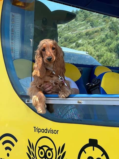 Hop-On Hop-Off Yellow Cabrio Tour: See Dubrovnik in 90mins - Price and value: what $23 really covers