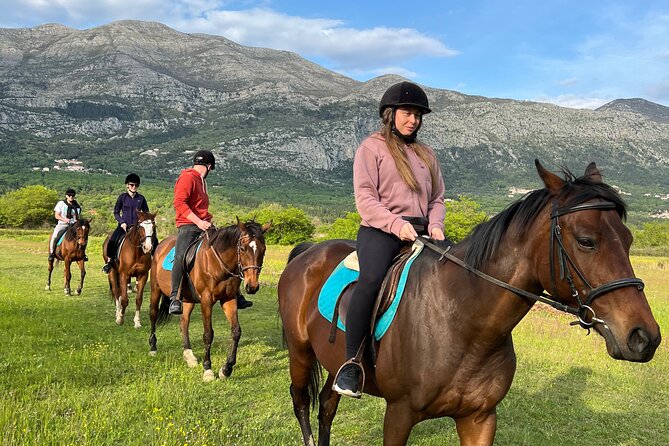 Horseback Riding Experience with transport from Dubrovnik - Konavle Trail Ride: Fields, Vineyards, and Snježnica Views