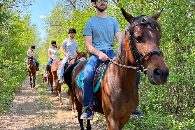 Horseback Riding Experience with transport from Dubrovnik - Weather and Rescheduling: Keep Your Calendar Flexible