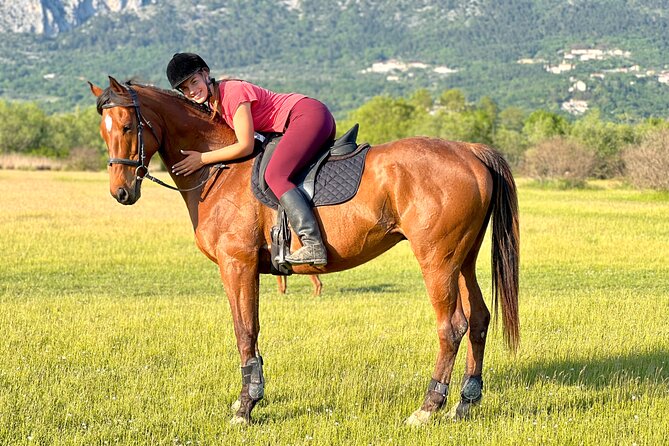 Horseback Riding Experience with transport from Dubrovnik - Getting There from Dubrovnik: Pickup Timing That Works