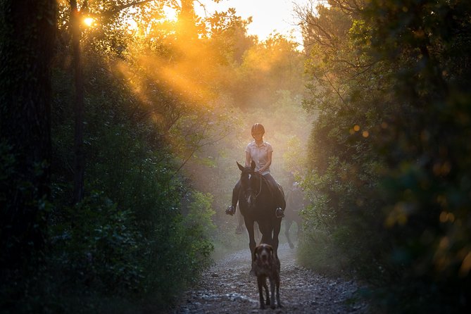Horseback Riding in Konavle Region with Transport from Dubrovnik - Key Things I’d Bet On Before You Go