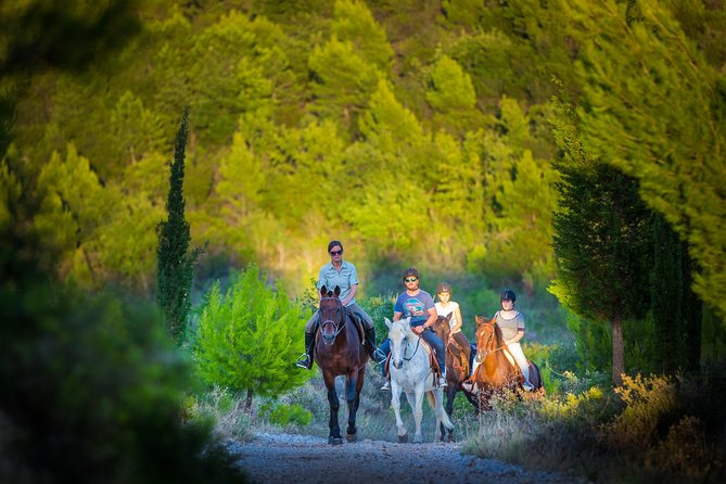 Horseback Riding in Konavle Region with Transport from Dubrovnik - Konavle on Horseback: A Small-Group Ride That Feels Like Escape
