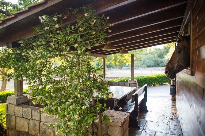 Horseback Riding in Konavle Region with Transport from Dubrovnik - Kojan Koral’s Snack Stop: Wine, Sandwiches, and a Resting Moment