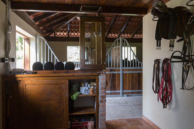 Horseback Riding in Konavle Region with Transport from Dubrovnik - What to Wear (and Pack) So You Enjoy It More
