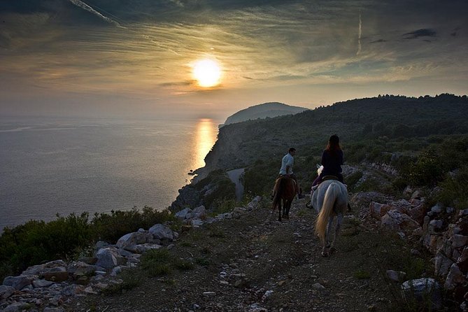 Horseback Riding in Konavle Region with Transport from Dubrovnik - Price and Value: Why $168.95 Feels Like More Than a Short Ride