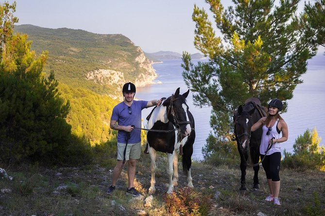 Horseback Riding in Konavle Region with Transport from Dubrovnik - Pickup From Dubrovnik: How the Timing Works Without the Headache