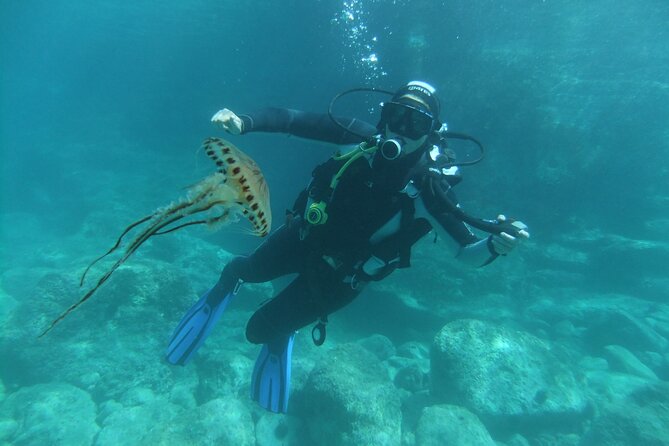 Intro Dive in Dubrovnik - Price and value: what $120.29 includes (and what it doesn’t)